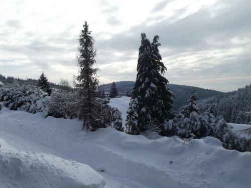 Lodge Chata S V�hledem