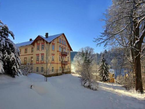 Apartm�n Jansk� L�zn?