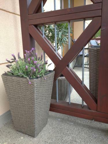 Apartamento Kozel 2