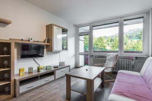 Jizera Mountains Apartment