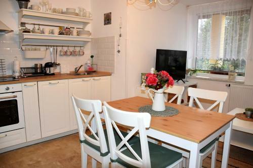 Apartamento Studio Borov�