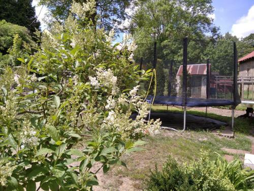Apartm�n 1 Atlantis