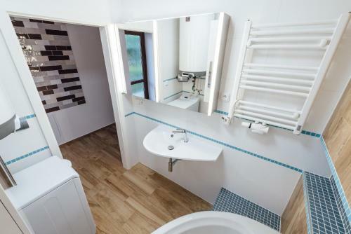 Apartm�n Pod Borovic�