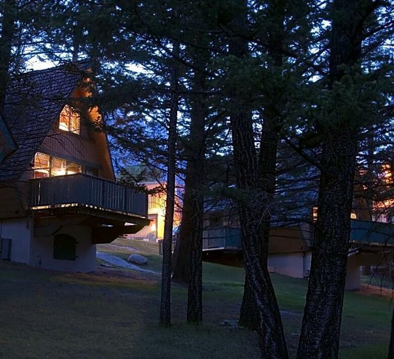 Hotel Douglas Fir Resort And Chalets