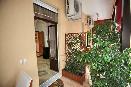 B&B Milu'