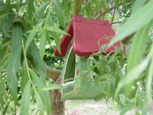 Ferienwohnung Mit Garten