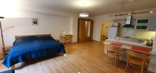 Apartm�n 46m2 S Balkonem V L�ze?sk�m Centru