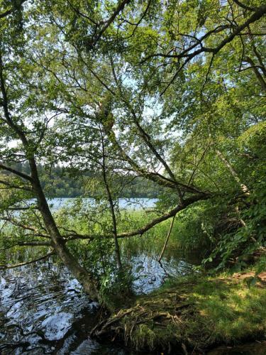 Bed & Breakfast Borgdal