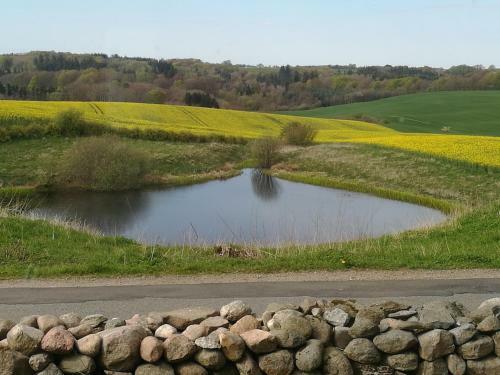 Bed & Breakfast B�gehus