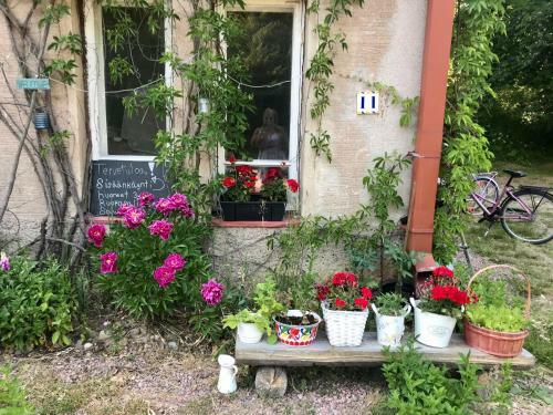 Apartamento Linna Eeden