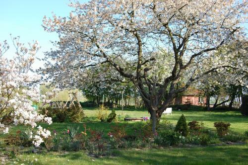 Apartamento Gem�tliche Ferienwohnung Unterm Reetdach