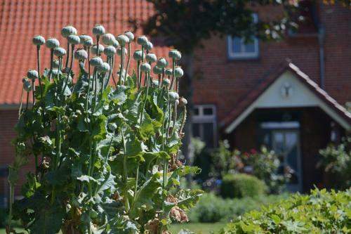 Apartamento Hof Brinker - Bauernstube