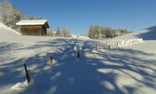Apartamentos Haus Hochwies