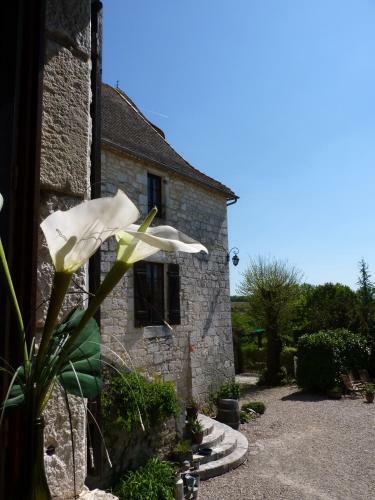 Villa Chateau De Sadillac
