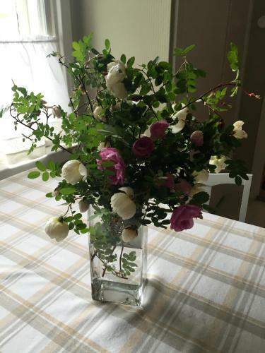 Bed & Breakfast Gran Hotellihuoneistot 2