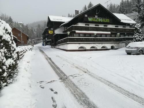Hotel Waldhaus