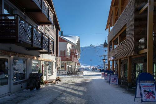 Ski Center Alpine Houses