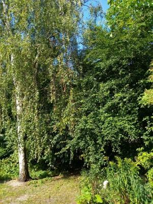 Apartamento An Der Alten Ziegelei