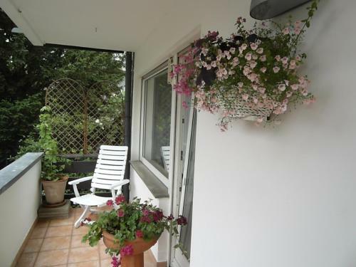 Apartamento Ferienwohnung In Bonn