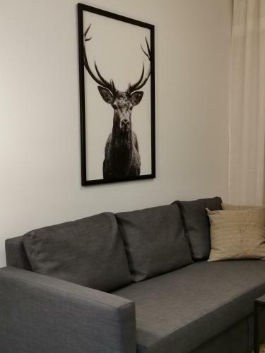 Saaga Apartments Rovaniemi