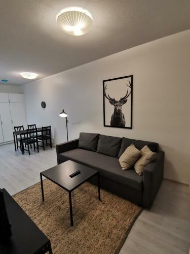 Saaga Apartments Rovaniemi
