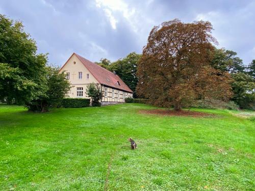 Apartamento Altes Pastorat Schwichtenberg