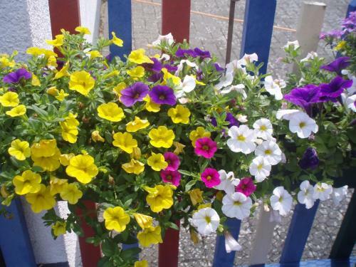 Apartamento Landhaus Martina