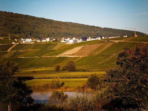 Apartamento Weingut Wolfgang Kohl