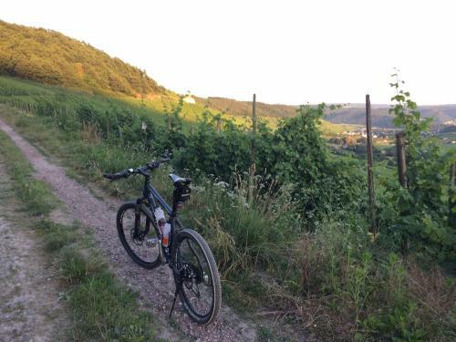Apartamento Fewo Freis In Brauneberg