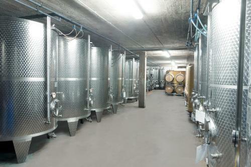 Hostal Pension Und Weingut Moselblick