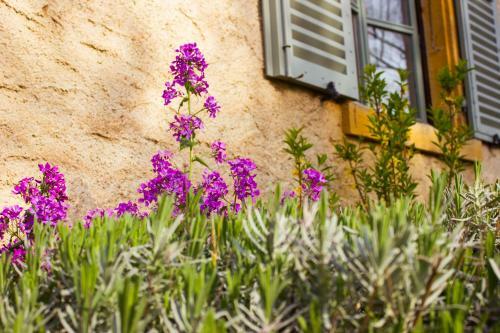 Bed & Breakfast Aux Ronzi�res