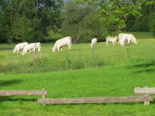 Bed & Breakfast Chateau De Tigny