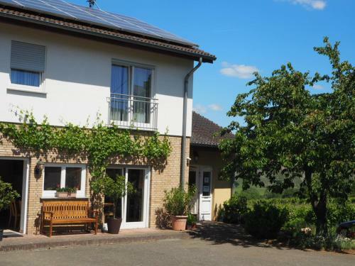 Apartamento Weingut & Gastehaus Andreas Erz