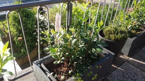 Apartamento Ferienwohnung Brunnenstrasse