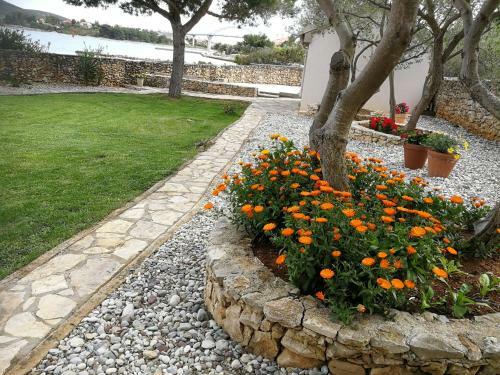 Apartmani Sandra I Davor Lonic