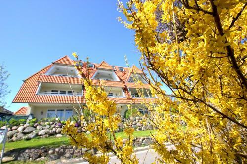 Apartamento Hafenh�user Breege Fewo 13 Balkon, Meerblick