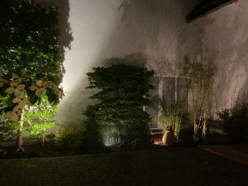 Apartamento Glockenstuhl @conny's