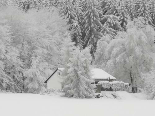 Ferienhaus Mit Ausblick