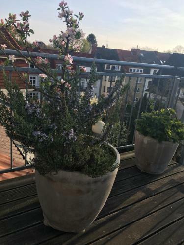 Apartamento Dachstudio Im Geteviertel - Citynah