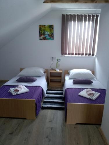 Apartman Nina