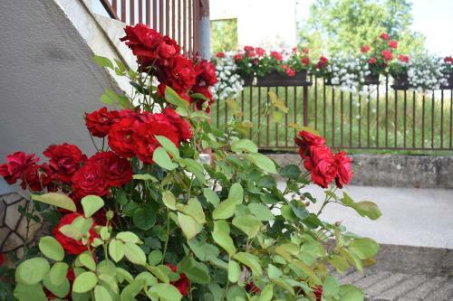 Apartman Rukavina