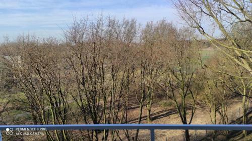 Apartamento Sch�ne Und Gem�tliche Wohnung