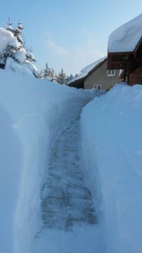 Apartment Vila Lokve
