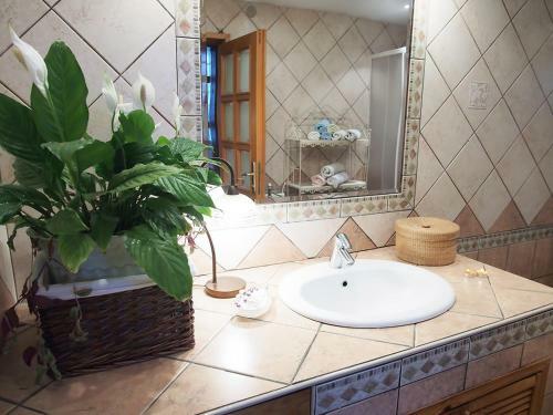 Apartment Ernestova Hi?a