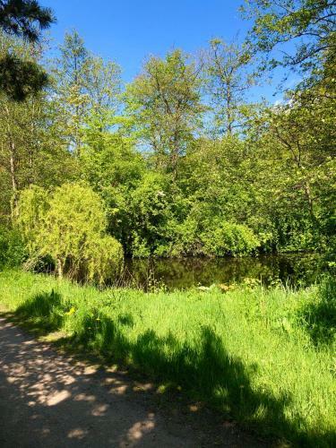 Apartamento Ferienwohnung Parkblick