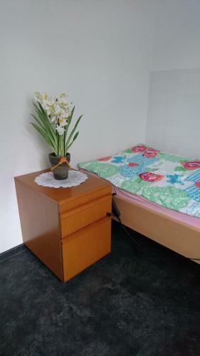 Ferienhaus Seerose