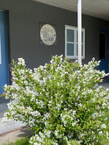 Ferienhaus K�stenkind