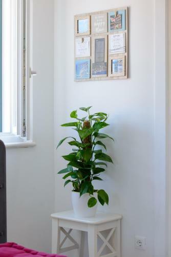 Apartamento Skipper's Suite