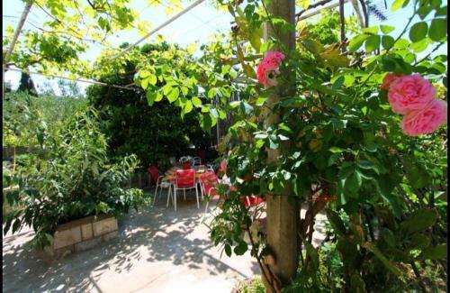 Hostal Ivan And Marica Guest House