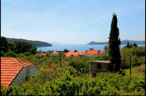 Hostal Ivan And Marica Guest House